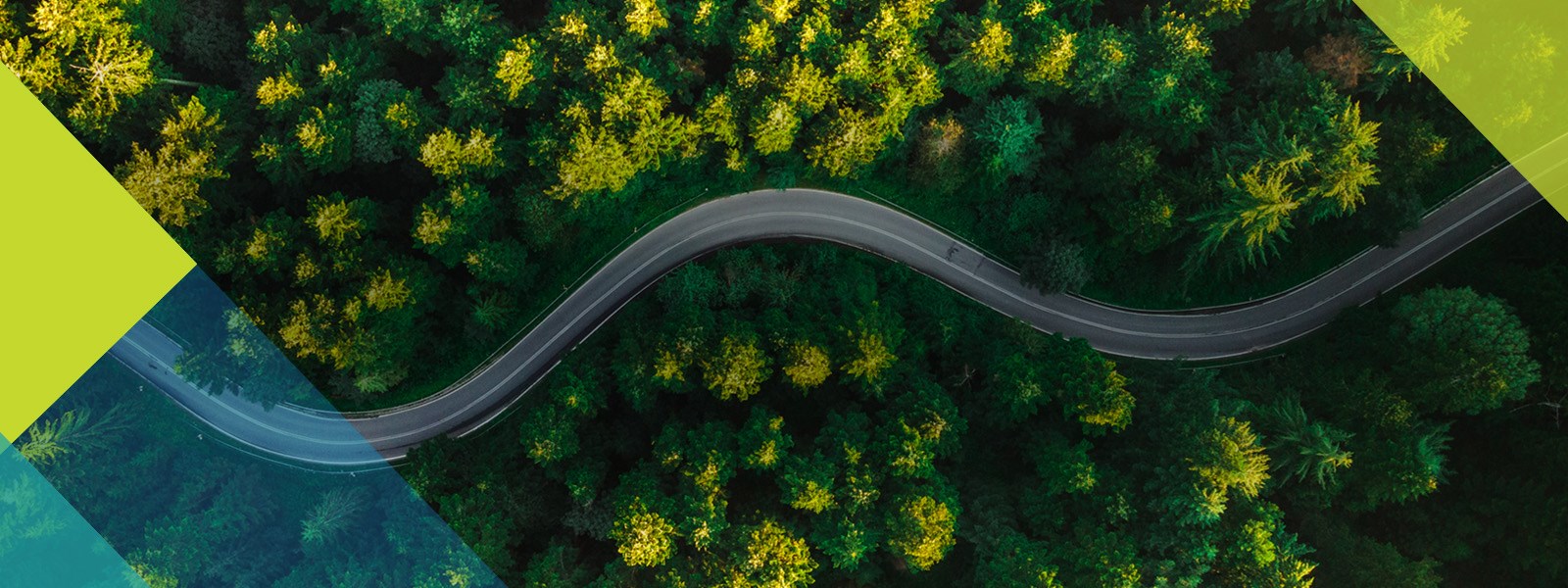 Sustainability header image with green trees 